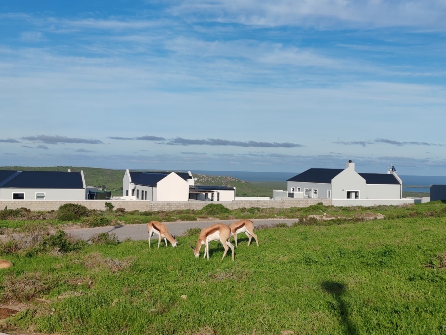 0 Bedroom Property for Sale in Hoogland Western Cape